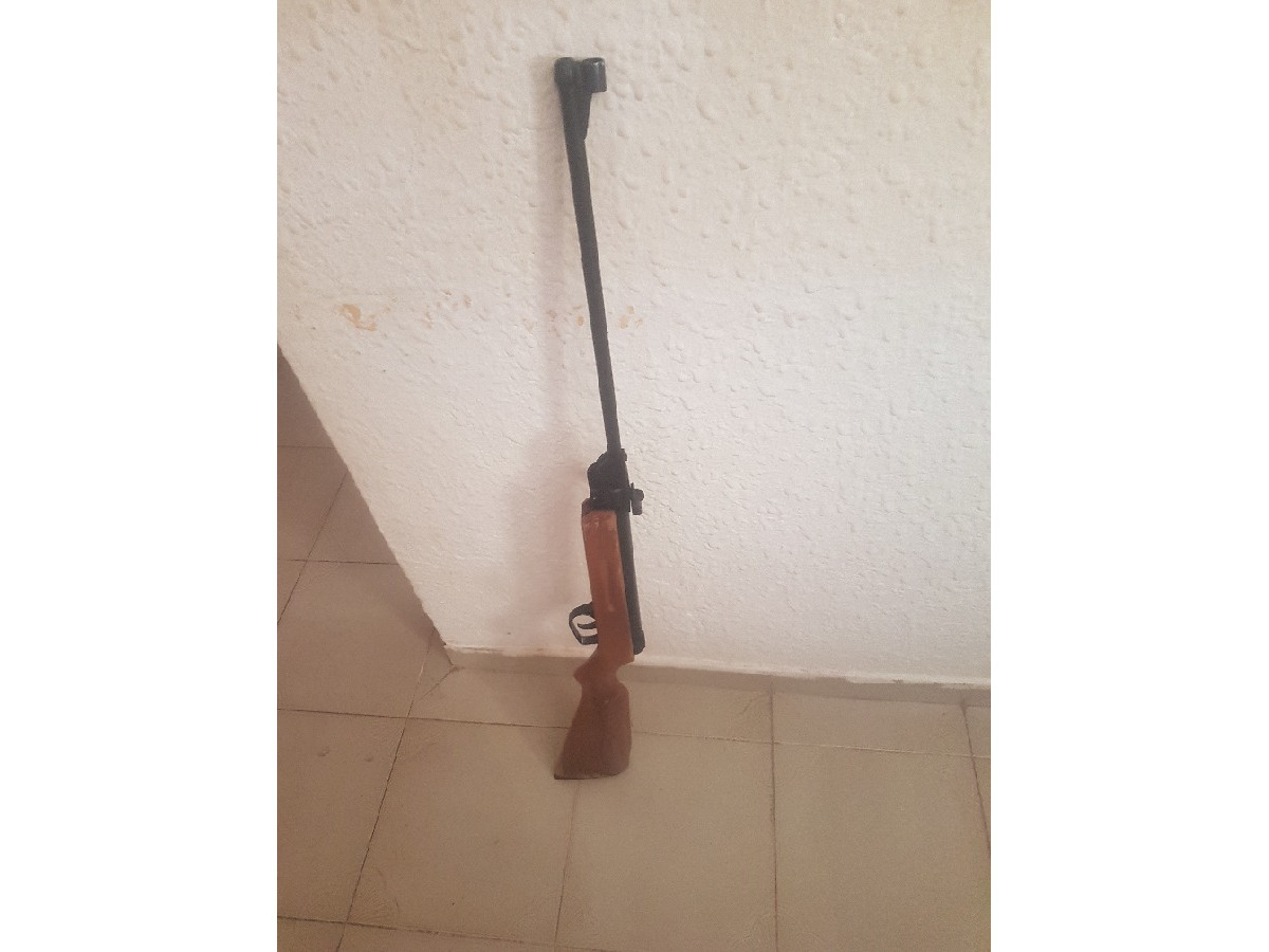Carabine à Air Comprimé Gamo Hunter 250 Calibre 5.5 - Adulte, Unisexe, Pour Le Tir Récréatif Et La Chasse Small Game