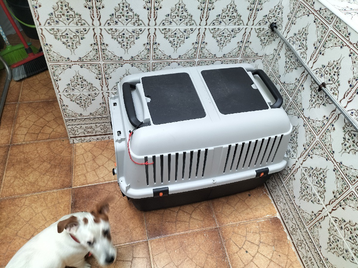 Transportin De Perros Grande - Temu