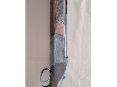 Antonio Zoli, modelo Delfino