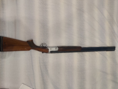 Aramberri Fuego