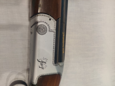 Aramberri Fuego