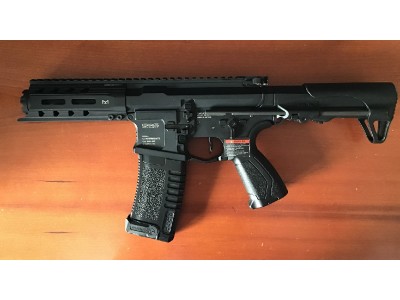 ARP 556 G&G (EGC-ARP-556-BNB-NCM)