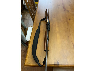 Baikal 308win