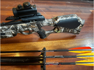 Barnett Wildcat