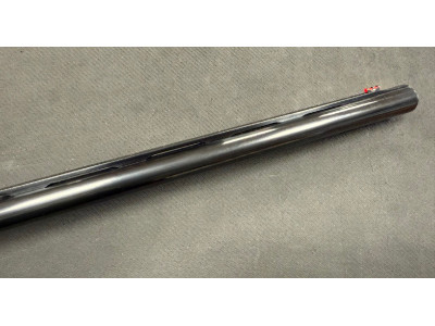 Benelli Bellmonte Pasion