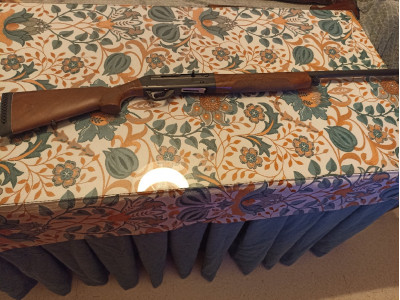 Benelli Belmonte I