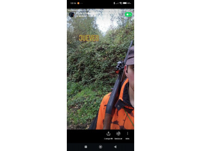 Benelli Belmonte 1 MK2 12/76 Magnum