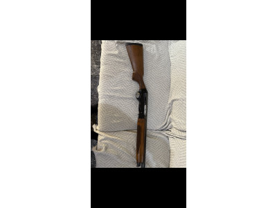 Benelli premium cal 12