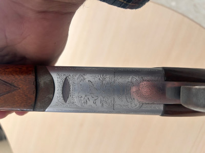 Benelli urbino cal.12