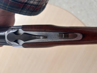 Benelli urbino cal.12