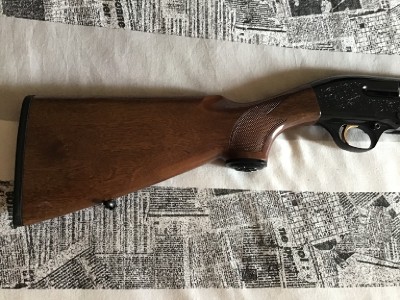 Beretta 302 