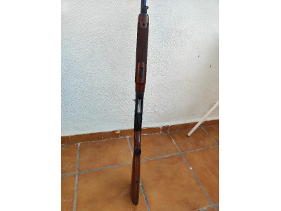 Beretta 303 