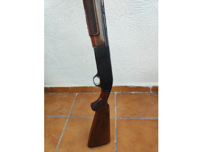 Beretta 303 