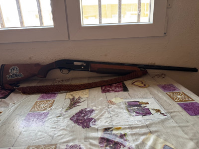 Beretta 303