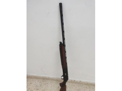 Beretta A304 Gold Lark
