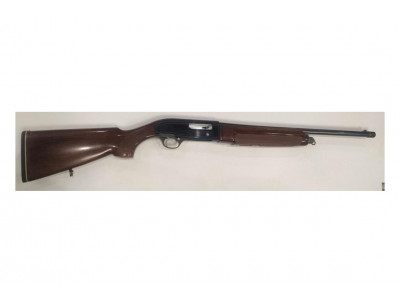 Beretta a303