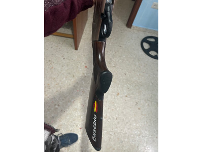 Beretta a400 x plor action