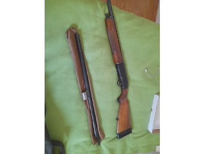 Beretta A302