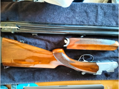 Beretta s686 caza