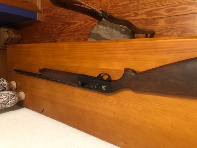Beretta Urika 391