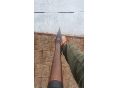 Beretta Urika Al 391