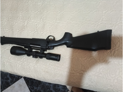 Bergara b14