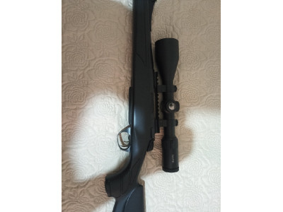 Bergara b14
