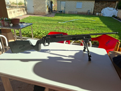 Bergara B14 Customizado
