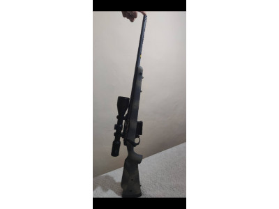 Bergara B14 wilderness terrain con visor