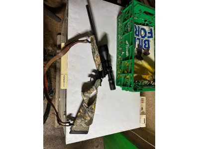 Bergara BA 13
