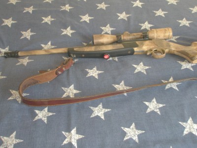 Bergara Scout + Visor Hanko