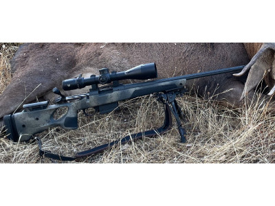 Bergara Thumbhole steel