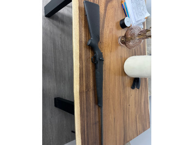 Blaser R8 profesional