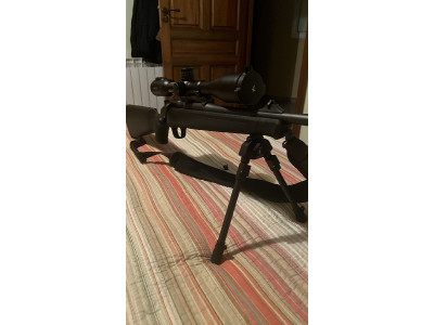 Blaser R8 + Visor Swarovski