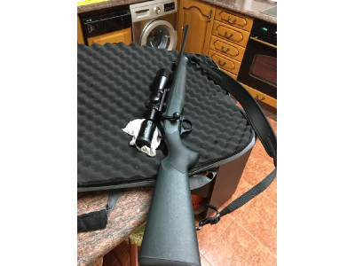 Blaser r8 