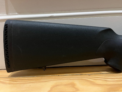 BLASER R8 PROFESSIONAL 8X68S