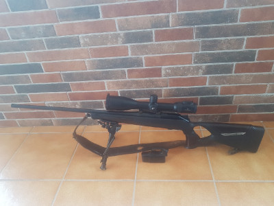Blaser R8 Succes