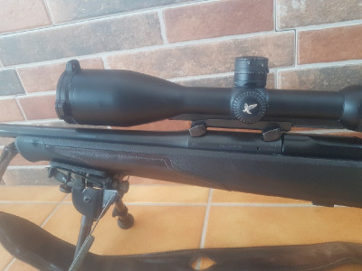 Blaser R8 Succes