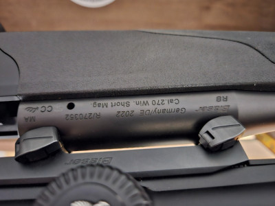 Blaser r8 ultÃmate 270wsm