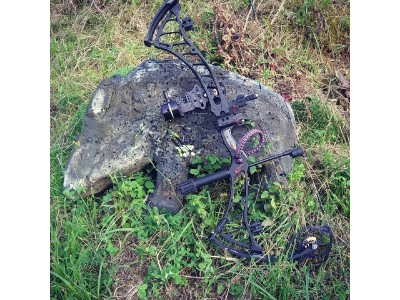 Bowtech Prodigy 60LB