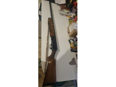 Browning 2000