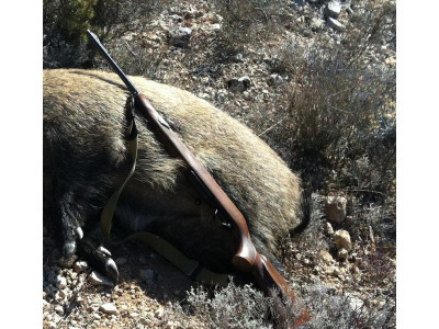 BROWNING ACERA 30.06