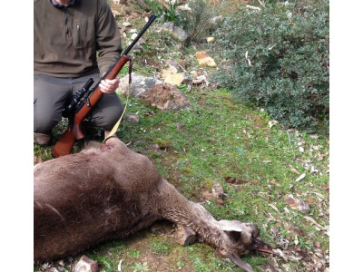 BROWNING ACERA 30.06