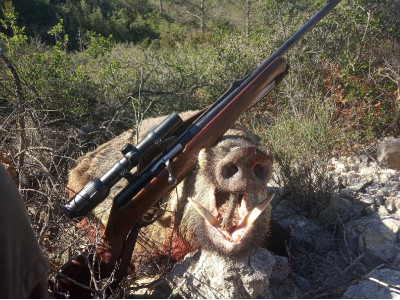 Browning acera 7mm rem. Mag