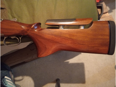 Browning B525 trap..