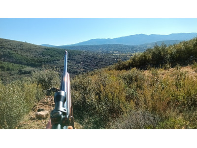 Browning bar 1 300 wm