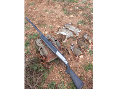 Browning maxus I sporting