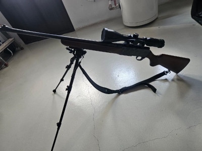 Browning 