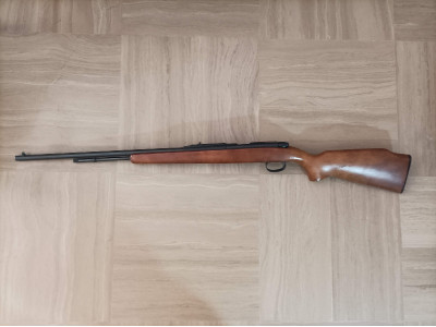 Carabina .22 Winchester