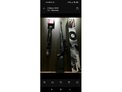 Carabina Gamo 4.5 con visor
